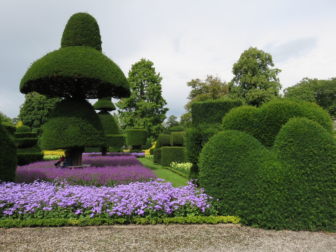 Sculpting with Topiary: A Beginner's Guide